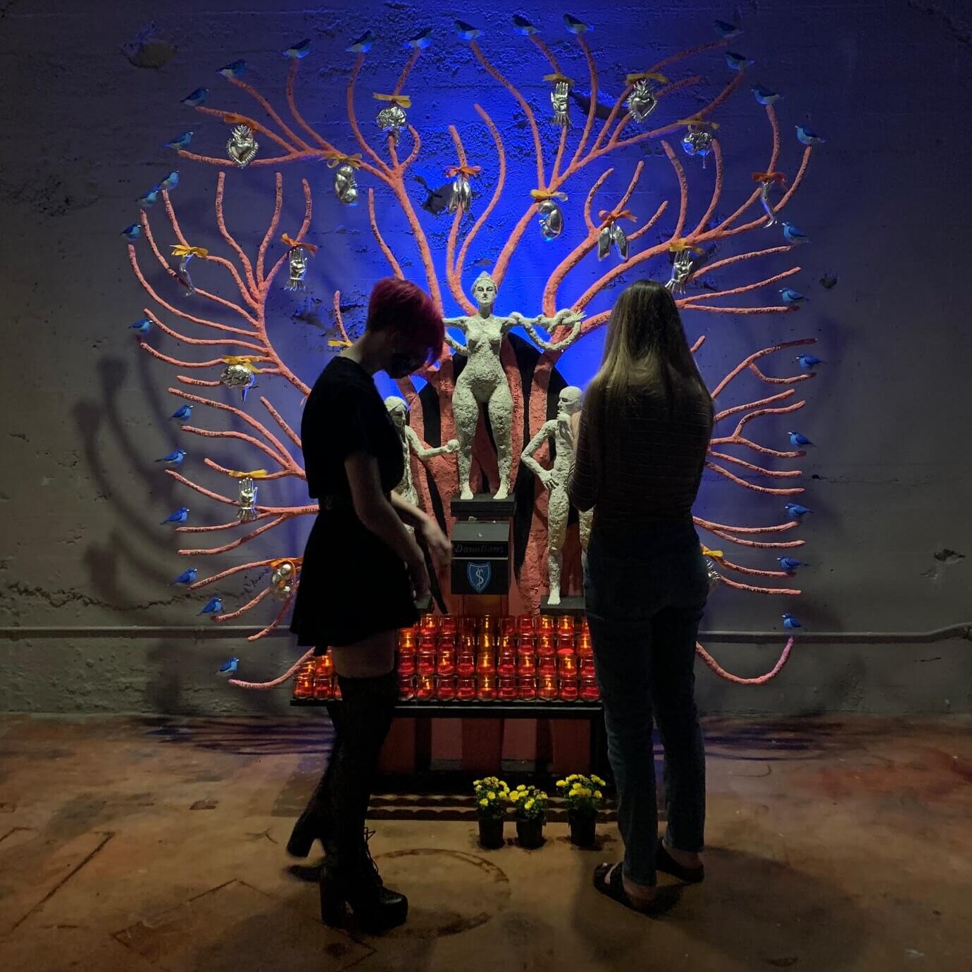 Open Houses Open Houses