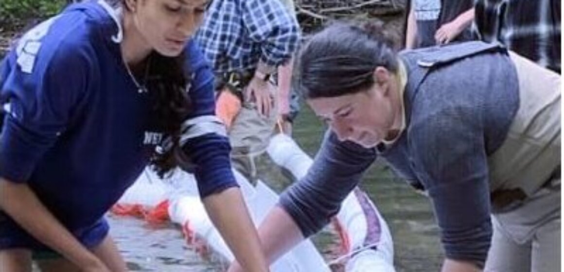 Environmental Science Class 2019