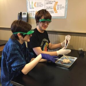 Sheep Brain Dissection Sheep Brain Dissection