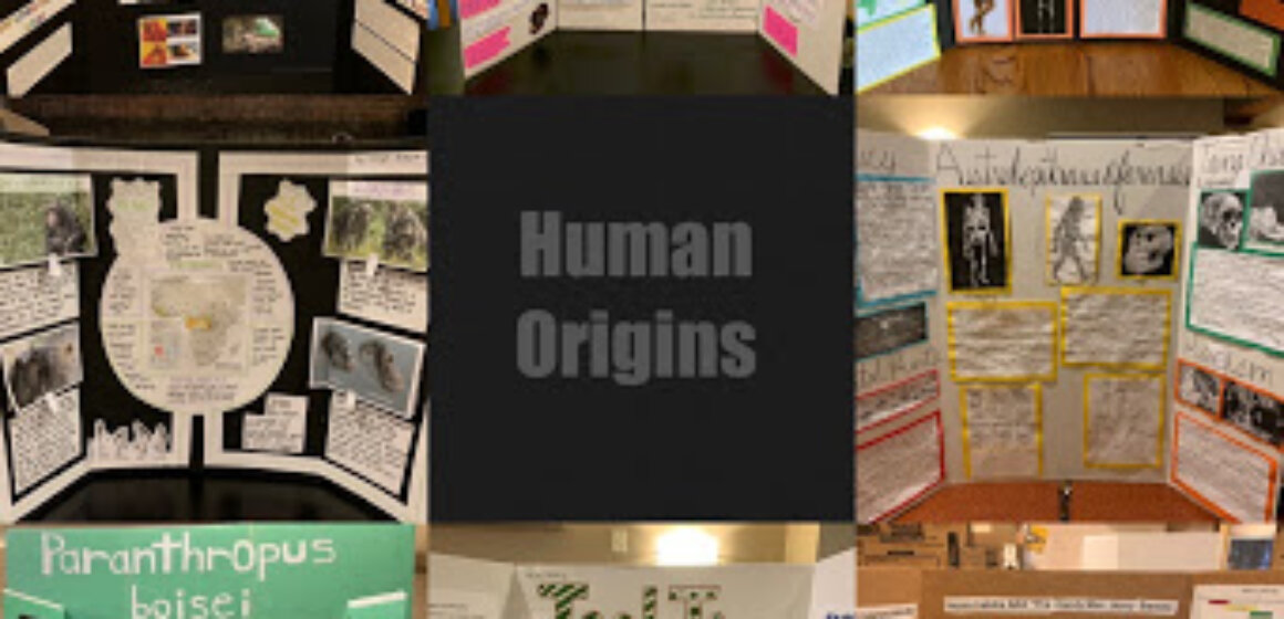 The Human Origins Class Posters
