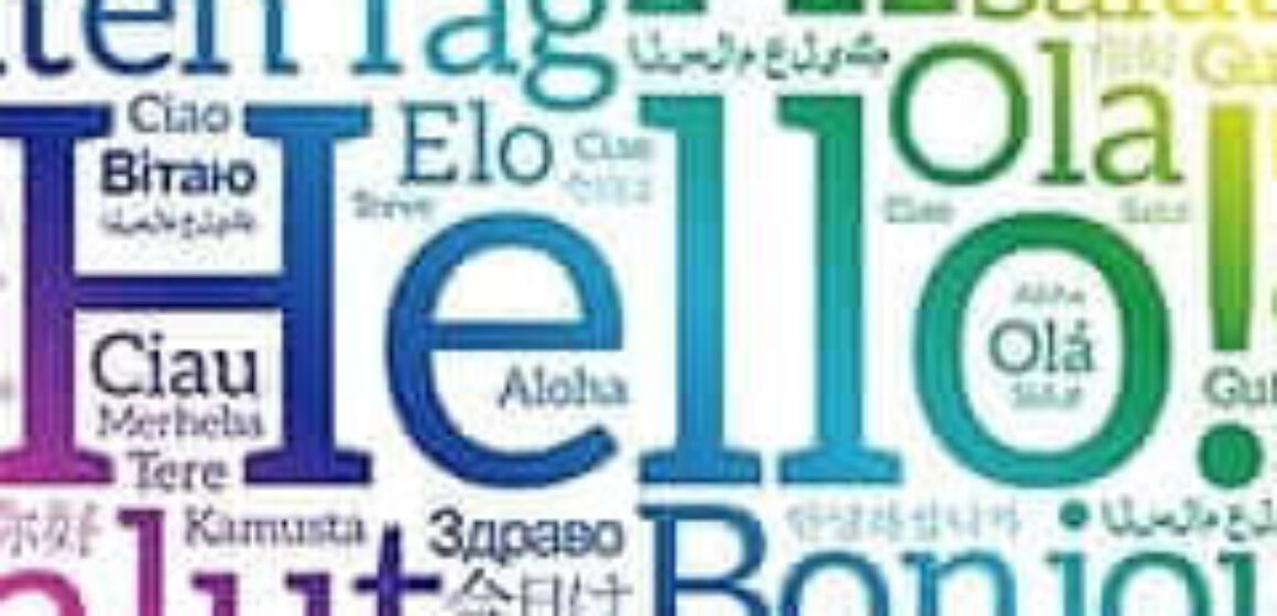 International day logo