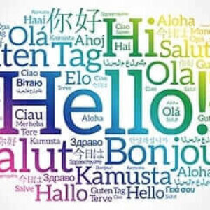 International day logo