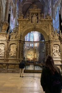 Pulchre Leonina -2 Spain Trip 2020 Spain Trip 2020