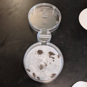 AP Bio - roly-polys - 3 AP Bio - roly-polys