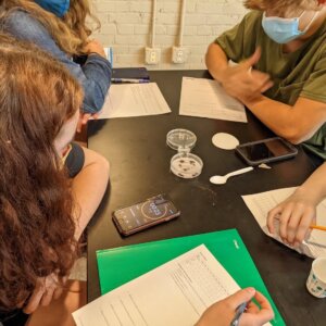 AP Bio - roly-polys - 4 AP Bio - roly-polys