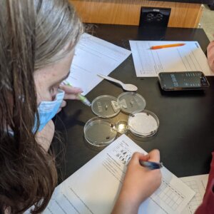 AP Bio - roly-polys - 5 AP Bio - roly-polys