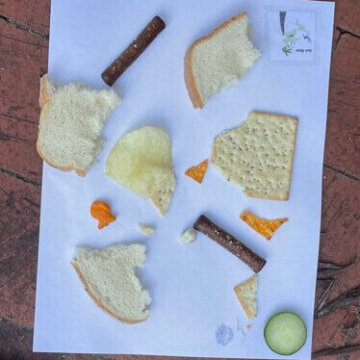 AntClub - 4 Ant Club