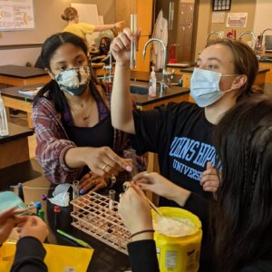 Chemistry Lab - 1 Density Columns