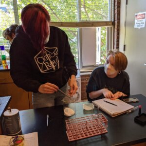 Chemistry Lab - 3 Density Columns