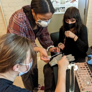 Chemistry Lab - 8 Density Columns