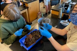 Enviro Lab - 1 Carvin Creek Critter Follow Up