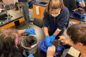 Enviro Lab - 2 Carvin Creek Critter Follow Up Science Lab