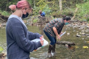 Enviromental Trip - 18 Carvin Creek