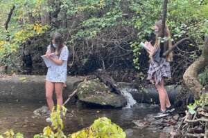 Enviromental Trip - 24 Carvin Creek