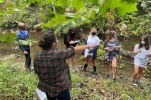 Enviromental Trip - 38 Carvin Creek