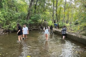 Enviromental Trip - 64 Carvin Creek