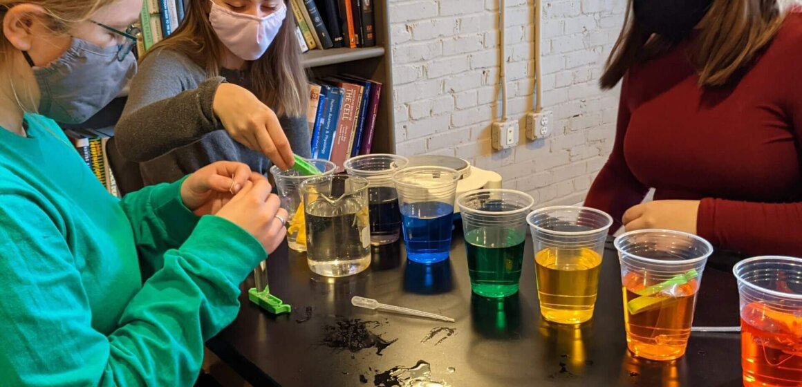 AP Biology Lab - osmosis