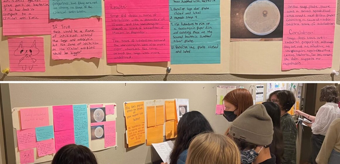 Biology antibiotic study - 1