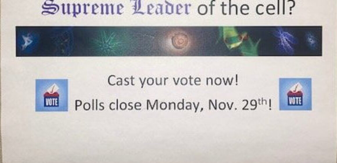 AP Biology Cell Posters