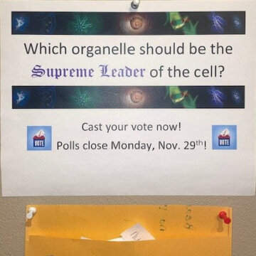 AP Biology Cell Posters AP Biology Cell Posters