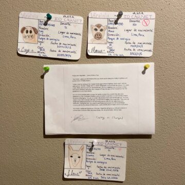 Spanish Book Report Spanish Book Report