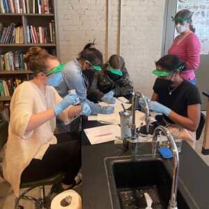 Conductivity Lab - 1 Conductivity Lab