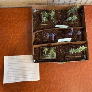 Enviromental Science Sustainable Energy Projects - 2 Enviromental Science Sustainable Energy Projects