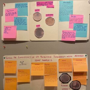 Yeast Protection - 4 Bio Lab Poster - yeast protection
