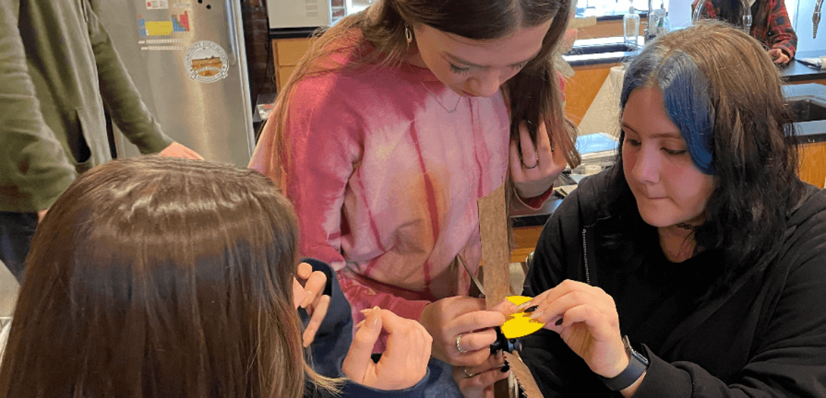Environmental Science Wind Blade Experiment