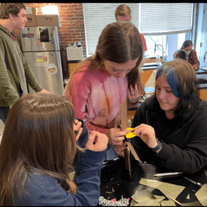 Environmental Science Wind Blade Experiment