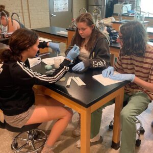 AP Bio GMO splice - 1 AP Bio GMO