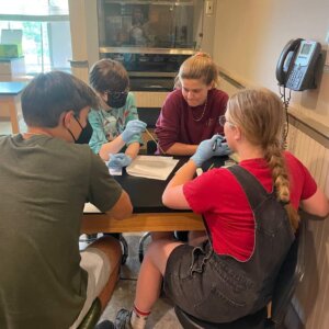 AP Bio DNA splice - 2 AP Bio GMO