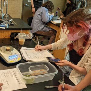 Mealworms - 2 Biology Lab