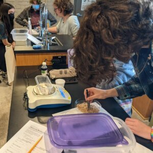 Mealworms - 3 Biology Lab