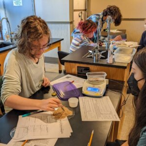 Mealworms - 4 Biology Lab