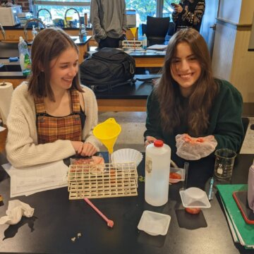 Bio Strawberry DNA - 1 Bio Strawberry DNA