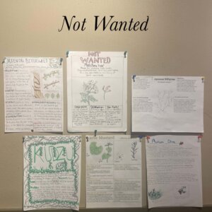 RFS Science Most Wanted Posters