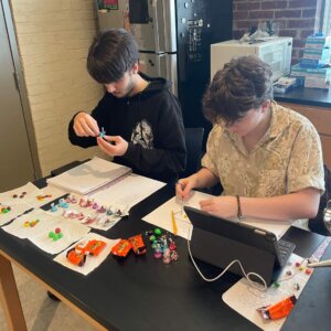 Human Origins - 3 Candy Evolution project