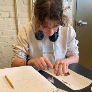 Human Origins - 4 Candy Evolution project