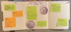 Bio Posters - 3 Biology yeast UV experiment