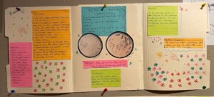 Bio Posters - 4 Biology yeast UV experiment