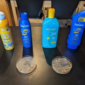 Biology yeast UV experiment