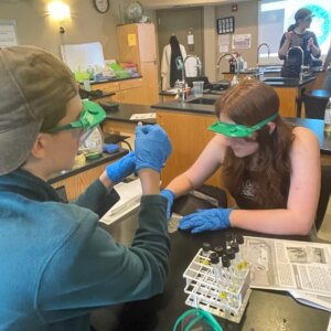 Chemistry - 11 Chemistry