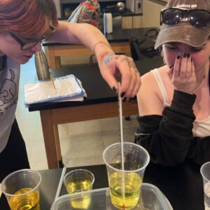 Homerostasis 2023 - 1 Homerostasis lab