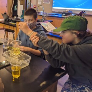 Homerostasis 2023 - 6 Homerostasis lab