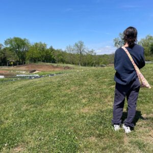 RFS - Garden Variety Harvest - 2 Garden Variety Harvest