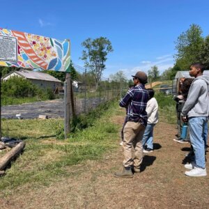 Garden Variety Harvest