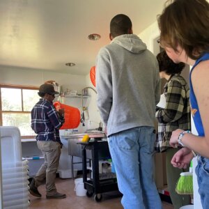 RFS - Garden Variety Harvest - 6 Garden Variety Harvest