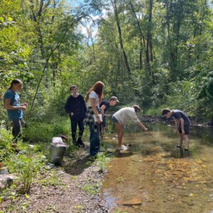 CorvinCreek23 - 2 Corvin Creek 23