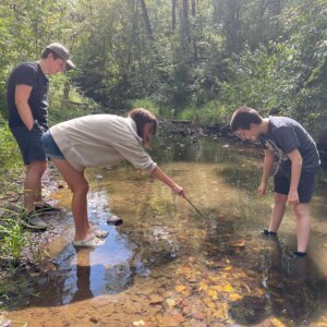 CorvinCreek23 - 3 Corvin Creek 23